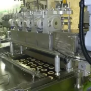 AFD Series - Far-infrared automatic fryer for cake and donuts